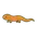 Newts