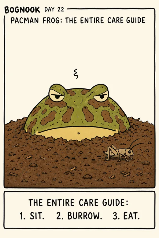 A cozy Bognook cartoon of the Pacman Frog.