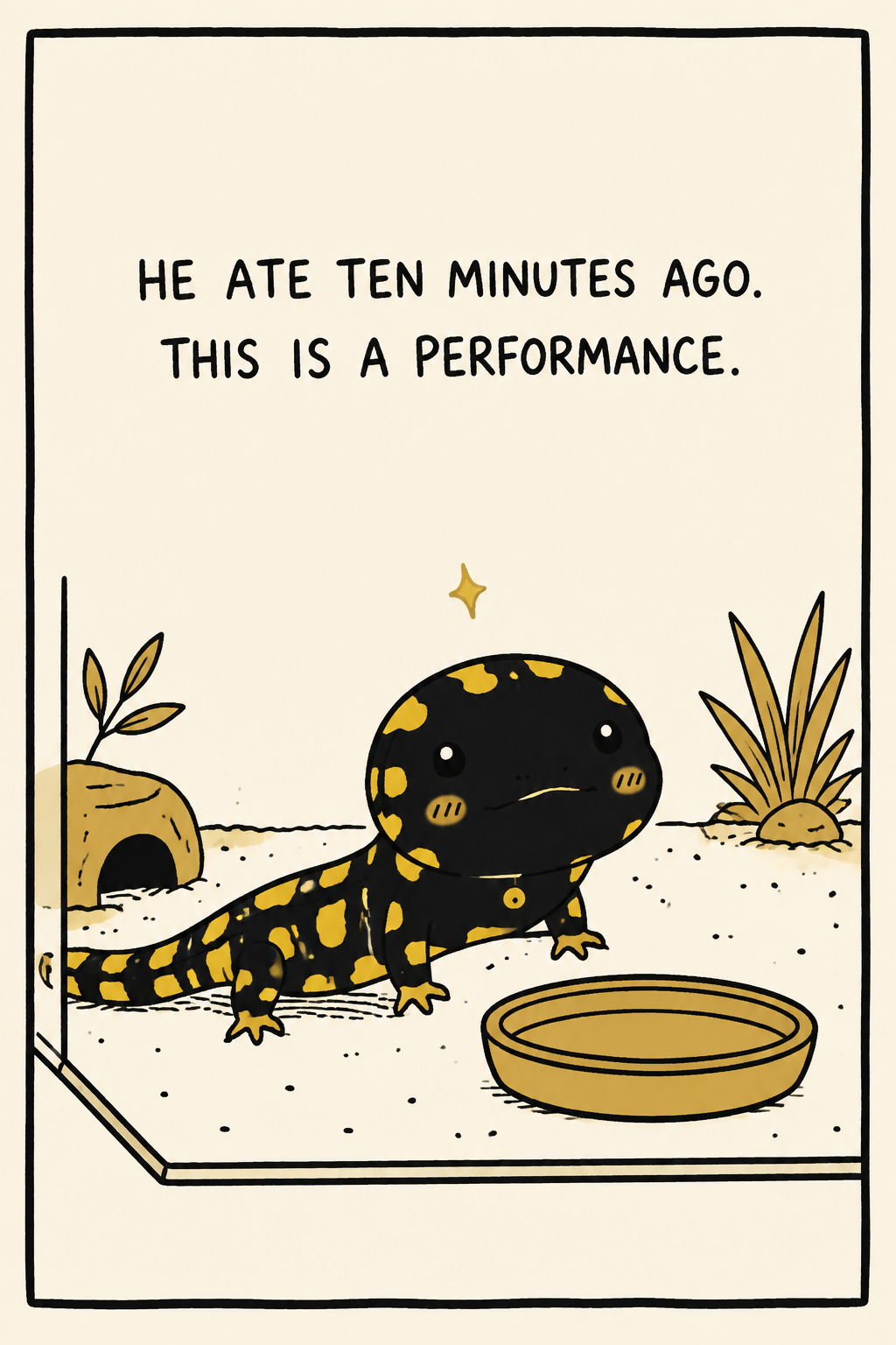 A tiger salamander gazing up with big pleading eyes at an empty food dish — caption: 'he ate ten minutes ago. this is a performance.' The 'puppy-dog' begging every salamander keeper knows.